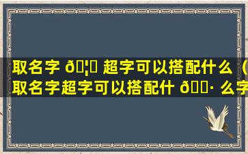 取名字 🦁 超字可以搭配什么（取名字超字可以搭配什 🌷 么字好听）